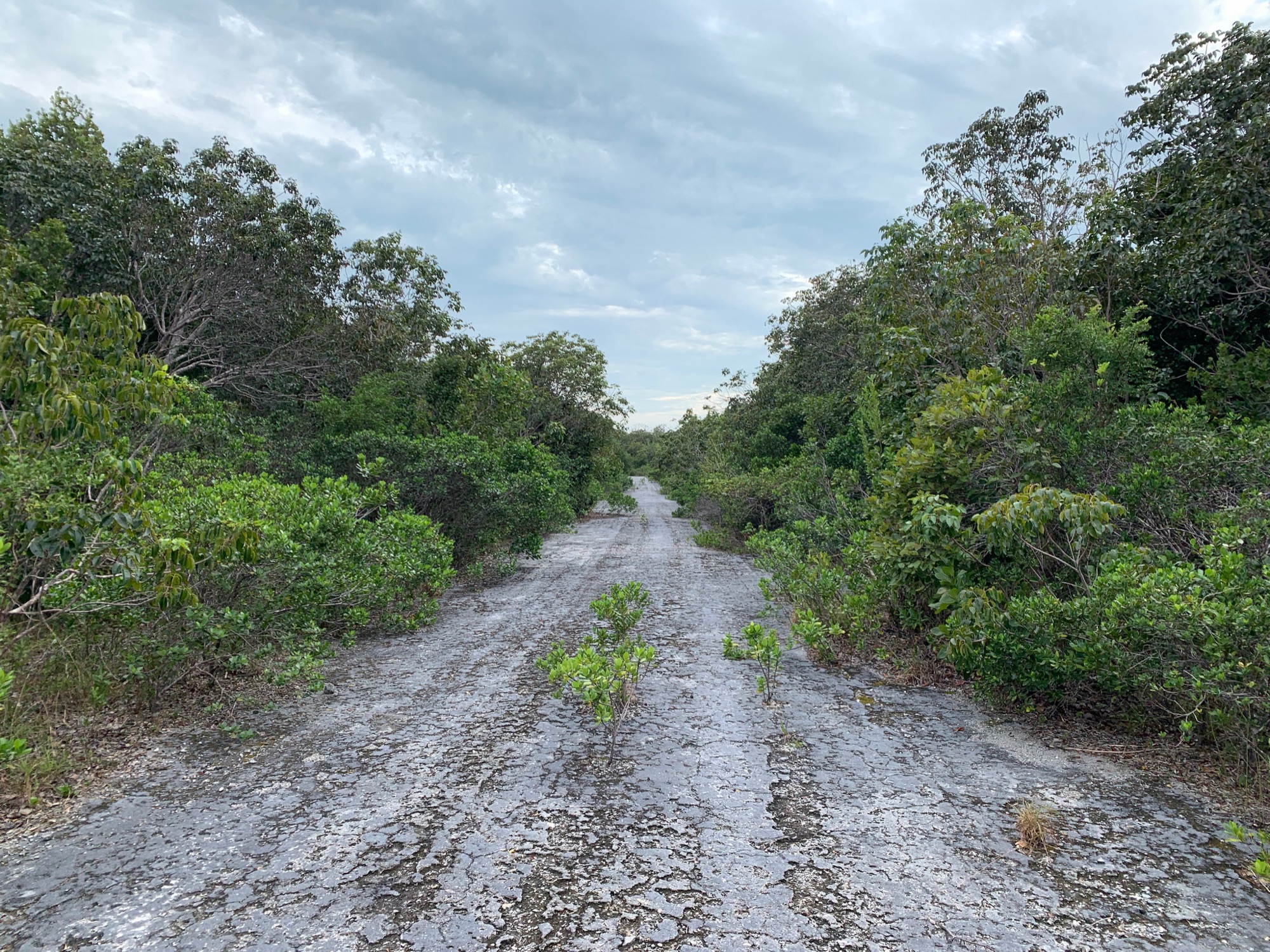 One of the island&rsquo;s paved roads